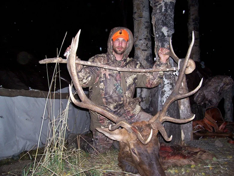 Colorado Elk 780x585.jpg