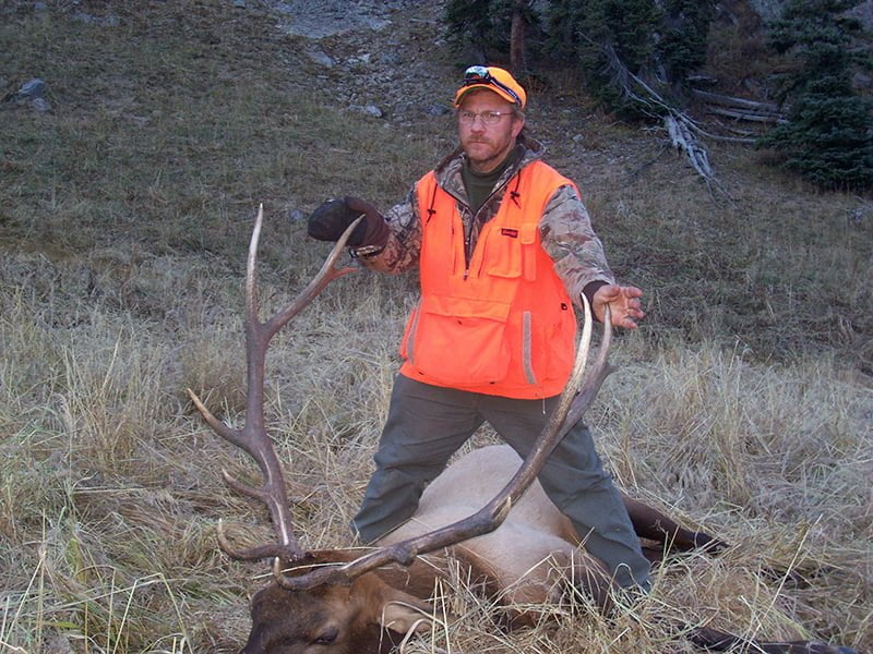 Steves Bull Elk